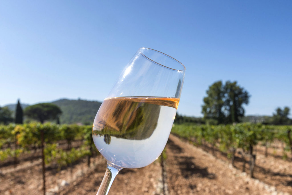 Domaine des Deux Moulins – Rosé de Loire
